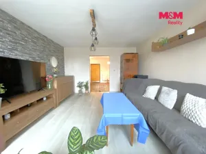 Prodej rodinného domu, Velká Losenice, 100 m2