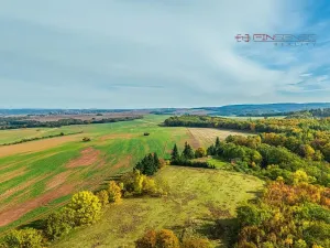 Prodej obchodního prostoru, Kryry, Pivovarská, 50 m2