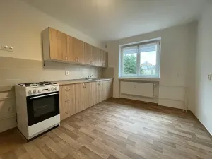 Pronájem bytu 2+1, Třinec, Čapkova, 53 m2