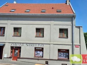 Prodej obchodního prostoru, Slaný, Vinařického, 74 m2
