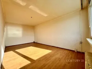 Pronájem bytu 1+1, Most, Javorová, 32 m2