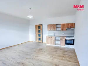 Prodej bytu 1+kk, Plzeň - Severní Předměstí, Brněnská, 31 m2