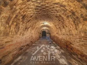 Prodej vinného sklepa, Čejkovice, 84 m2