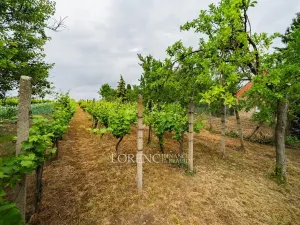 Prodej rodinného domu, Nový Poddvorov, 104 m2