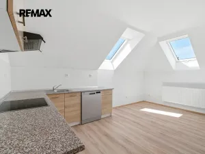 Prodej vícegeneračního domu, Kasejovice, 250 m2