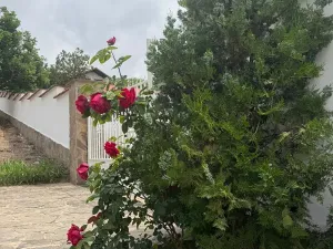 Prodej rodinného domu, Nesebar, Bulharsko, 340 m2