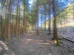 Dražba pozemku, Železná Ruda, 1644 m2