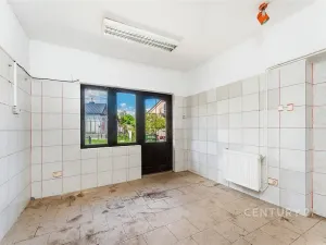 Prodej obchodního prostoru, Šťáhlavy, Jiráskova, 374 m2