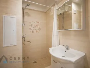 Pronájem bytu 1+1, Liberec, Bezová, 42 m2