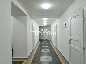 Pronájem bytu 2+kk, Praha - Vinohrady, Laubova, 50 m2