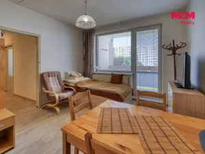 Prodej bytu 1+1, Písek - Pražské Předměstí, Jablonského, 41 m2
