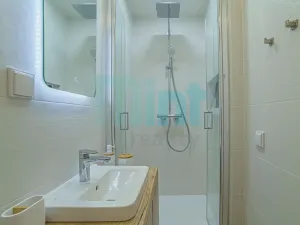 Pronájem bytu 1+1, Ostrava, Šeříková, 39 m2