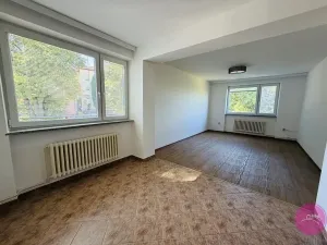 Pronájem bytu 3+1, Dolany, 98 m2