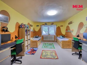 Prodej rodinného domu, Bor - Holostřevy, 200 m2