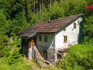 Prodej lesa, Jablonec nad Jizerou - Dolní Tříč, 18052 m2