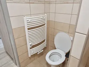 Pronájem bytu 2+kk, Teplice, Emilie Dvořákové, 50 m2