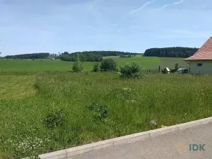 Prodej pozemku pro bydlení, Olešná, 935 m2