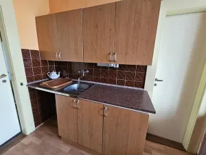 Pronájem bytu 4+1, Plzeň - Východní Předměstí, Americká, 152 m2