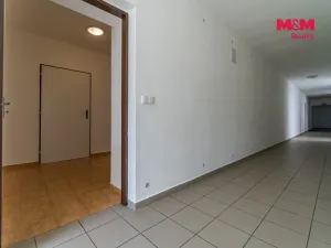 Pronájem bytu 1+kk, Vlčice, 41 m2