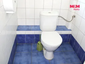 Pronájem obchodního prostoru, Nová Paka, Kotíkova, 330 m2