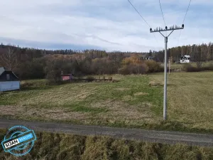 Prodej pozemku pro bydlení, Město Albrechtice, 3681 m2