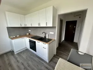Prodej bytu 1+1, Broumov, Pionýrská, 36 m2