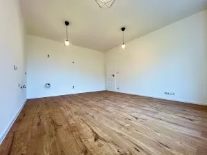 Prodej bytu 2+kk, Praha - Nusle, Na výsledku II, 47 m2