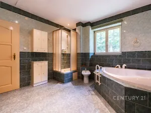 Prodej obchodního prostoru, Lom, Podkrušnohorská, 273 m2