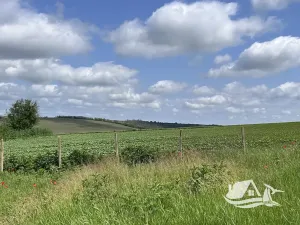 Prodej rodinného domu, Voynikovo, Bulharsko, 118 m2