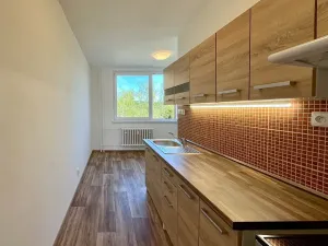 Pronájem bytu 2+kk, Brno, Palackého třída, 39 m2