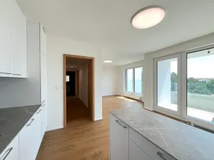 Pronájem bytu 2+kk, Brno, třída Generála Píky, 75 m2