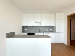 Pronájem bytu 2+kk, Brno, třída Generála Píky, 75 m2