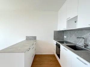 Pronájem bytu 2+kk, Brno, třída Generála Píky, 75 m2