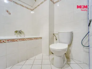Pronájem bytu 1+kk, Plzeň - Východní Předměstí, Plzenecká, 33 m2