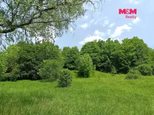 Prodej pozemku pro bydlení, Božanov, 3276 m2