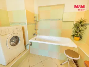 Prodej chaty, Dolní Nivy - Horní Rozmyšl, 130 m2