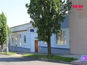 Prodej obchodního prostoru, Mělník, Krombholcova, 300 m2