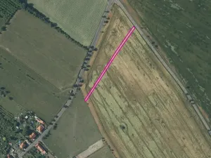 Prodej pole, Děčany, 8110 m2