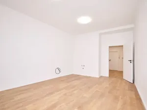 Prodej bytu 2+kk, Praha, V olšinách, 46 m2