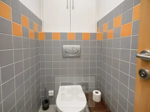 Pronájem bytu 3+kk, Brno, Malostranská, 100 m2