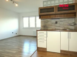 Pronájem bytu 1+kk, Ostrava - Moravská Ostrava, Petra Křičky, 30 m2