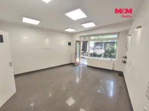 Pronájem obchodního prostoru, Ostrava - Moravská Ostrava, Nádražní, 42 m2