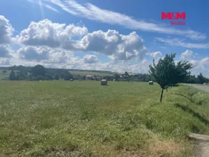 Prodej pozemku pro bydlení, Větřkovice, 4806 m2