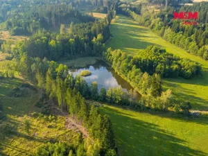 Prodej rybníku, Horní Ves, 21990 m2