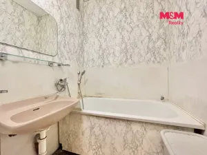 Prodej bytu 2+1, Lanškroun - Ostrovské Předměstí, U Papíren, 52 m2