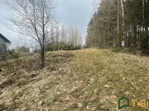 Prodej domu na klíč, Gruna, 90 m2