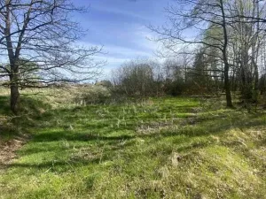 Dražba louky, Hranice, 2086 m2