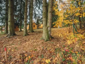 Prodej pozemku pro bydlení, Seč, 313 m2