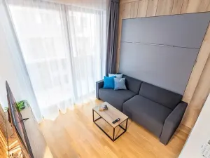 Pronájem bytu 1+kk, Praha - Žižkov, Seifertova, 29 m2