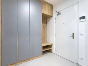 Pronájem bytu 1+kk, Praha - Žižkov, Seifertova, 29 m2